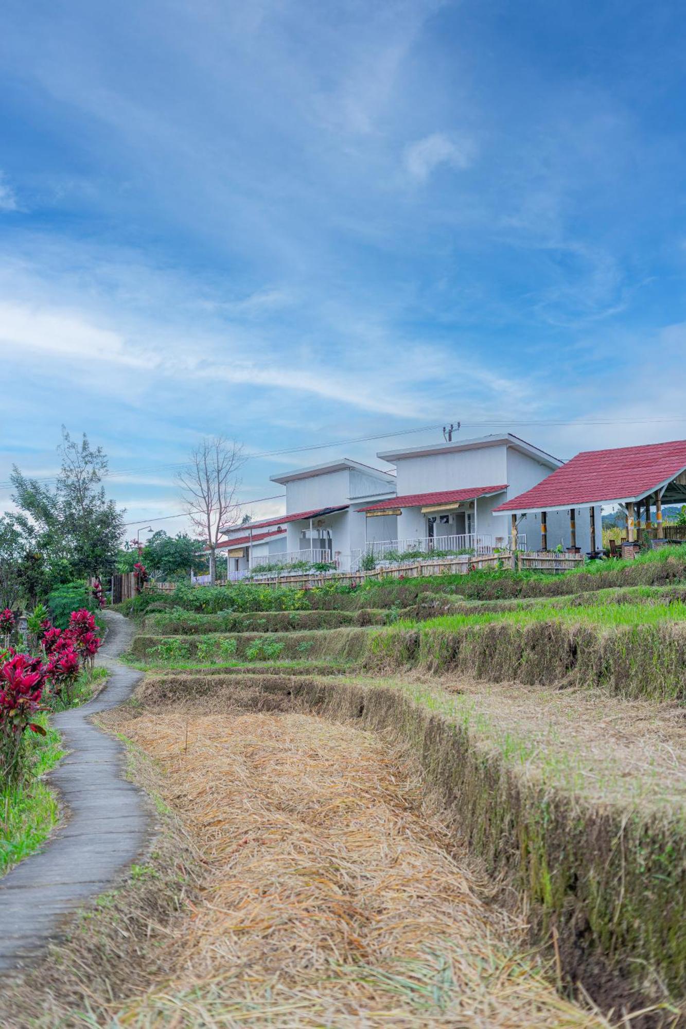 Santya Loka Lodge & Twin Waterfall Jatiluwih Exterior photo