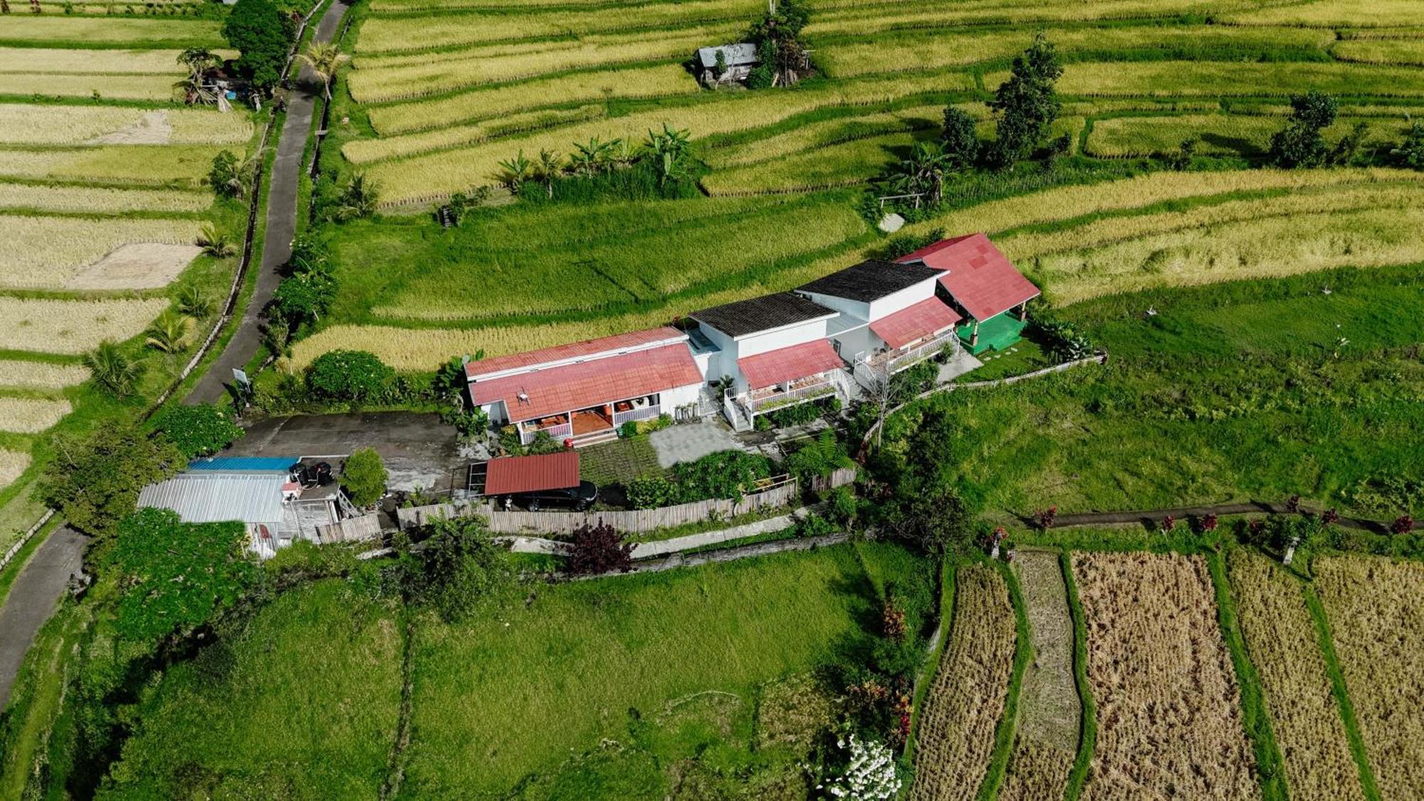 Santya Loka Lodge & Twin Waterfall Jatiluwih Exterior photo