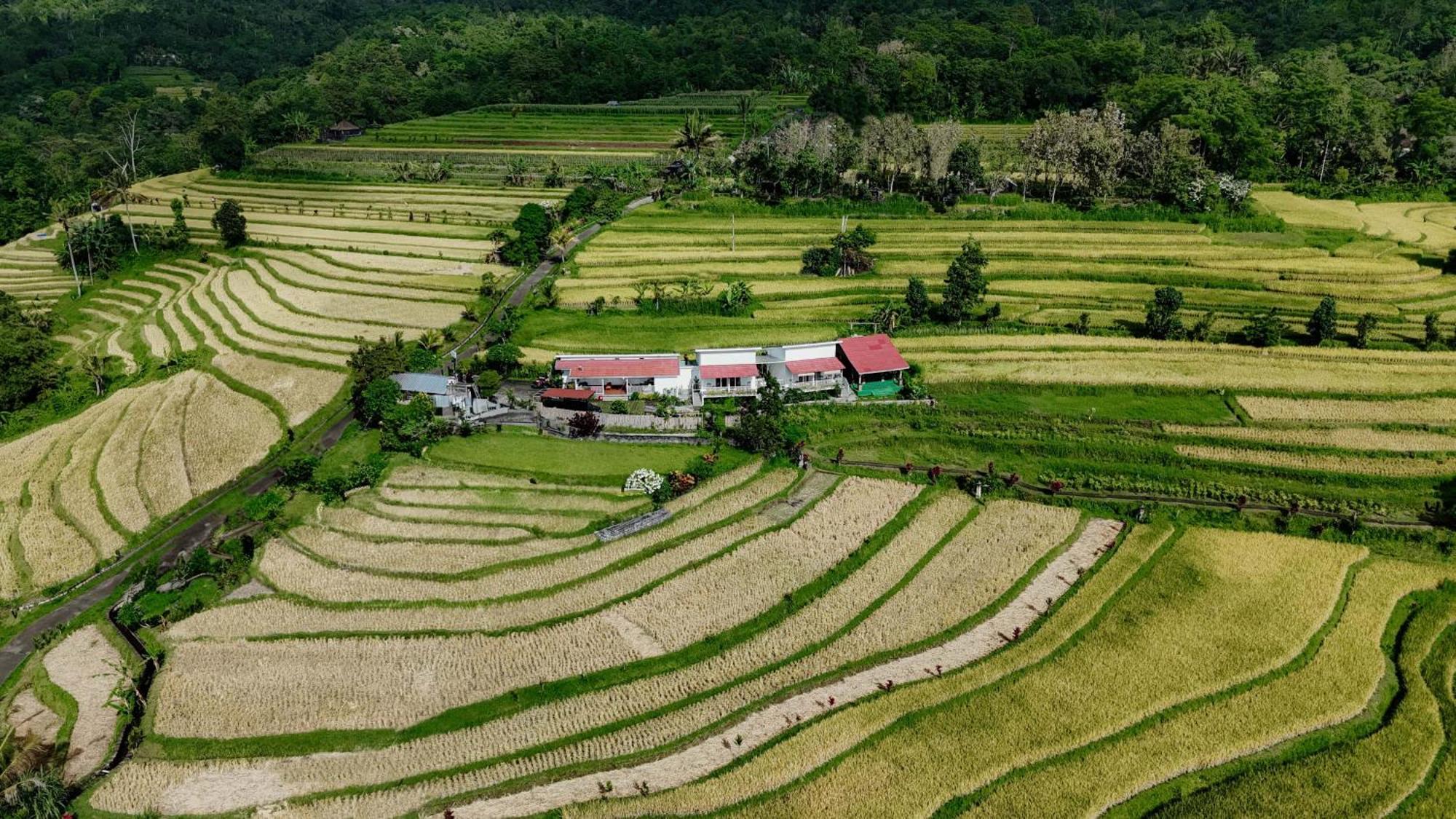 Santya Loka Lodge & Twin Waterfall Jatiluwih Exterior photo