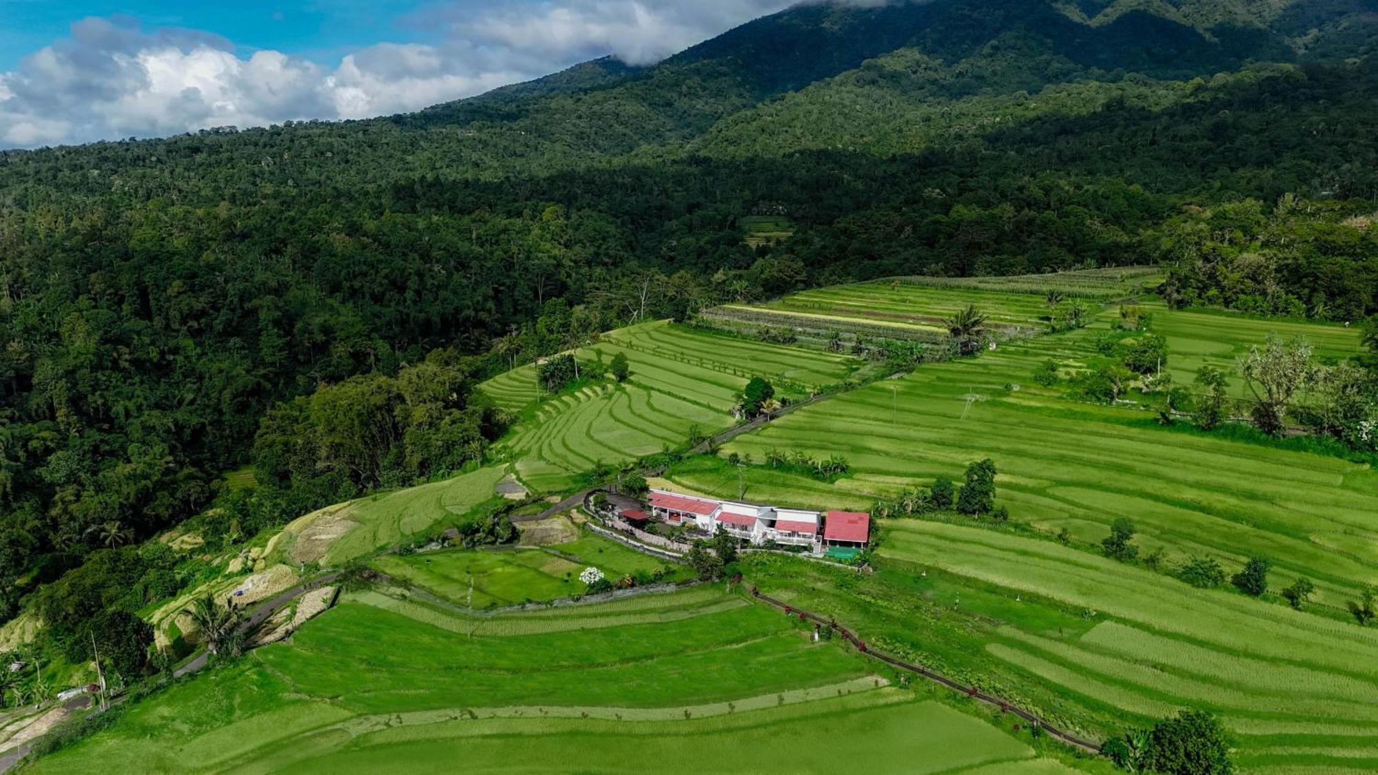 Santya Loka Lodge & Twin Waterfall Jatiluwih Exterior photo